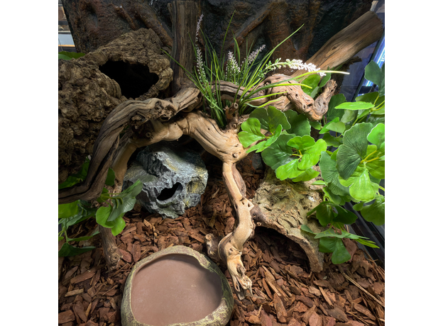 Террариумный комплект "Зелёное дупло"