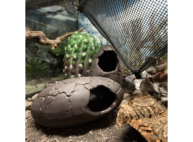 Террариумный комплект "Studio in Murino"