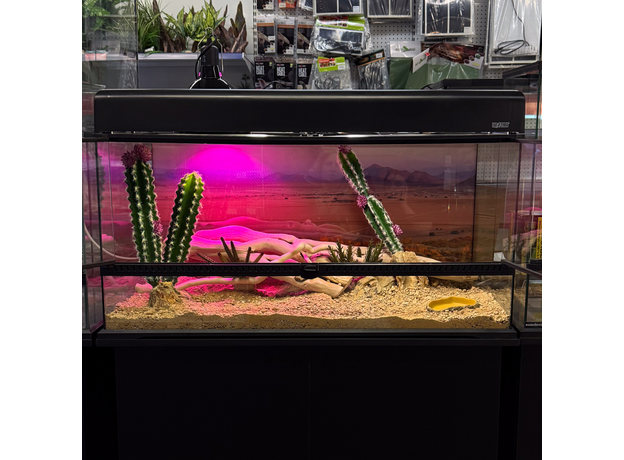 Террариумный комплект "Ты любишь кактусы"