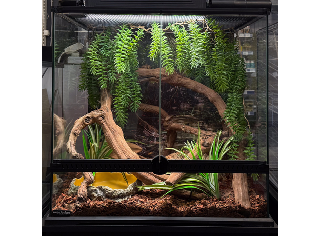 Террариумный комплект "Последнее пристанище"