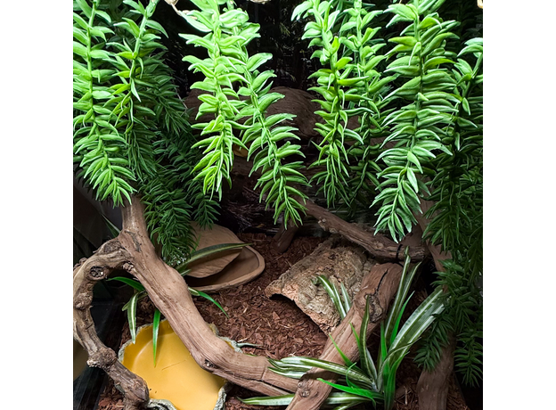 Террариумный комплект "Последнее пристанище"