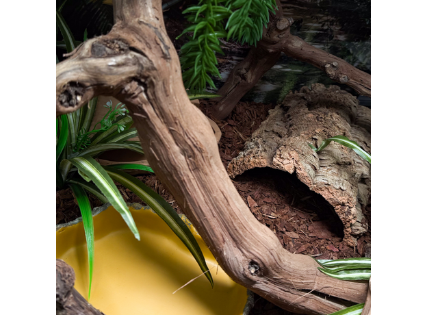 Террариумный комплект "Последнее пристанище"