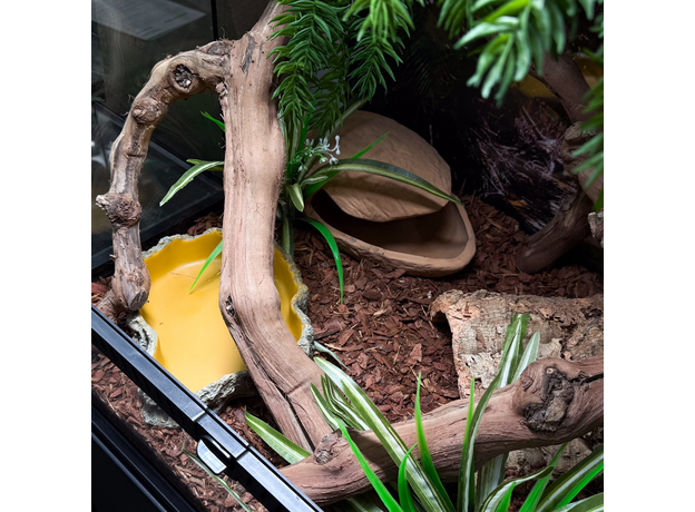 Террариумный комплект "Последнее пристанище"