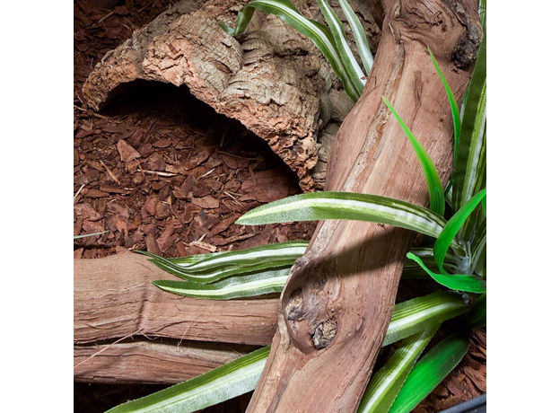 Террариумный комплект "Последнее пристанище"
