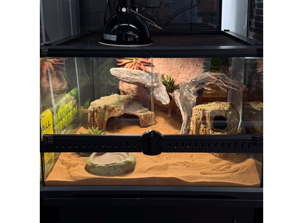 Террариумный комплект "Скалистое ущелье"