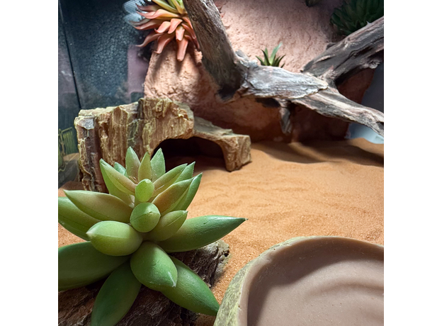 Террариумный комплект "Скалистое ущелье"