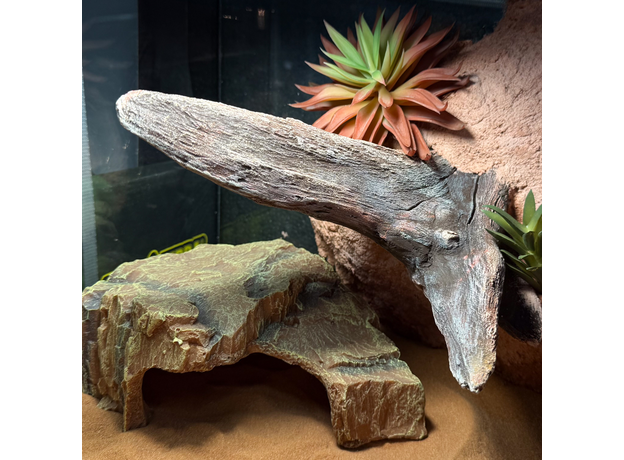 Террариумный комплект "Скалистое ущелье"