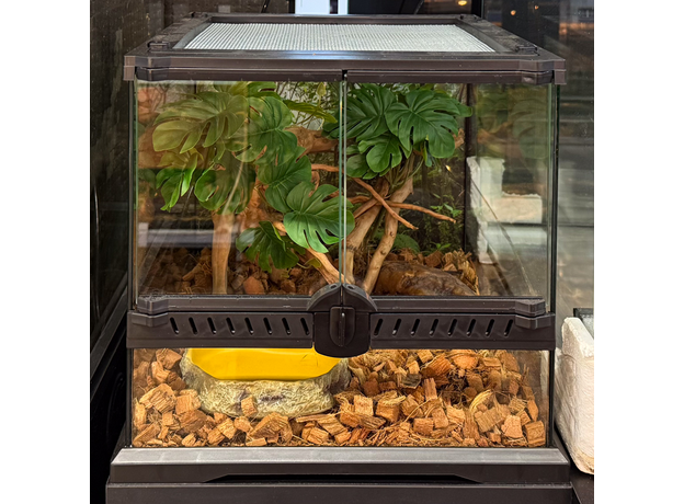 Террариумный комплект "Бэби Джангл"