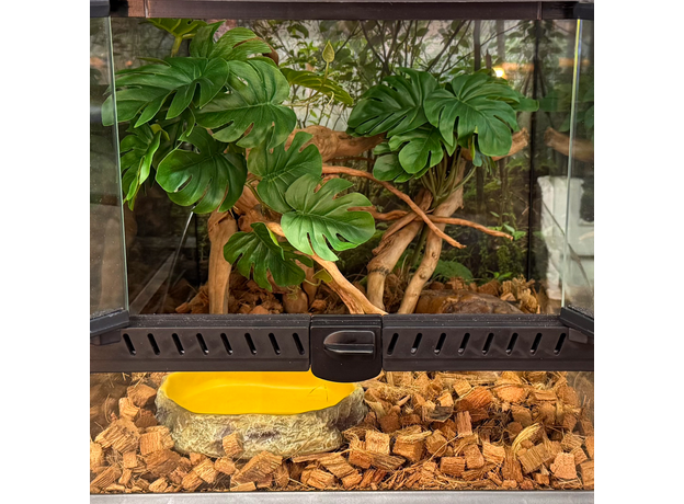 Террариумный комплект "Бэби Джангл"