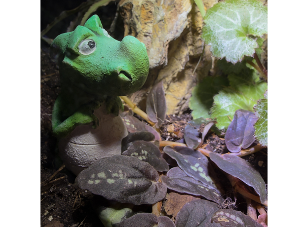 Флорариумный комплект "Юрасик 2.0"