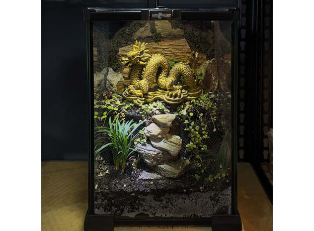 Флорариумный комплект "Склон Золотого Дракона"