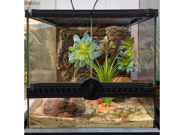 Террариумный комплект "Роза пустыни"