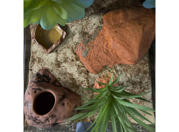 Террариумный комплект "Роза пустыни"