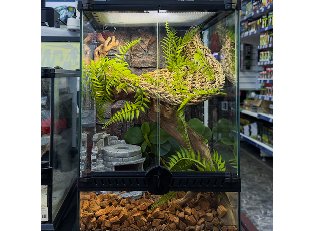 Террариумный комплект "Рыцарю круглого стола"