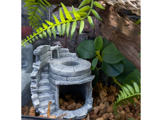 Террариумный комплект "Рыцарю круглого стола"