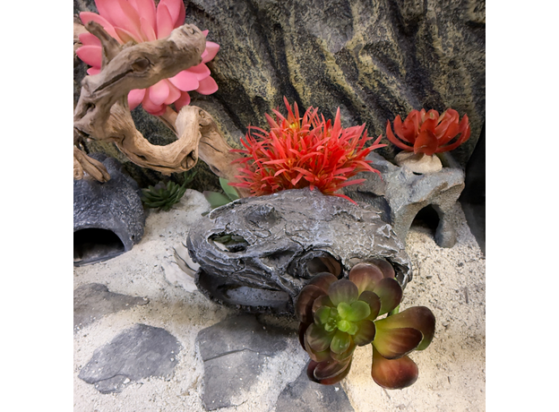 Террариумный комплект "Фрида"