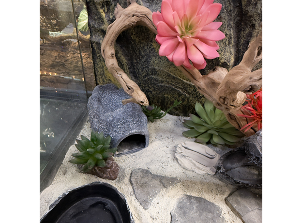 Террариумный комплект "Фрида"