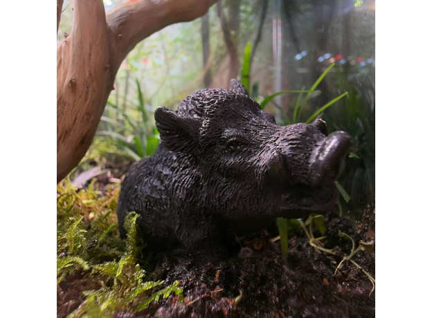 Флорариумный комплект "Лес Лок Муинне"