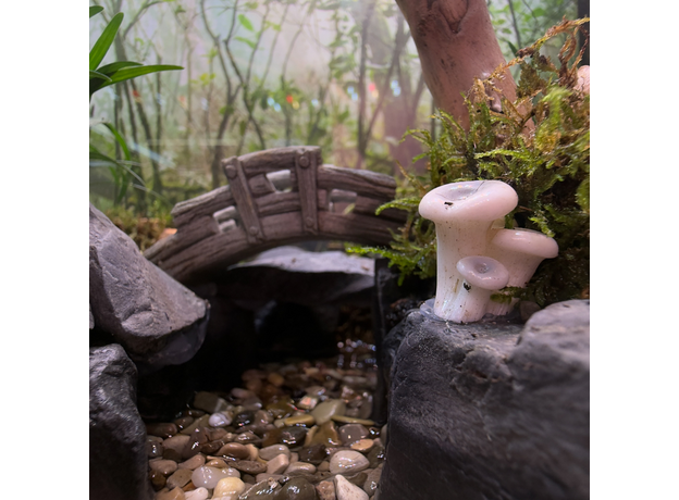 Флорариумный комплект "Лес Лок Муинне"