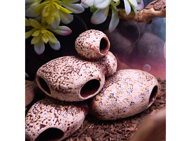 Террариумный комплект "Королевство Полной Луны"