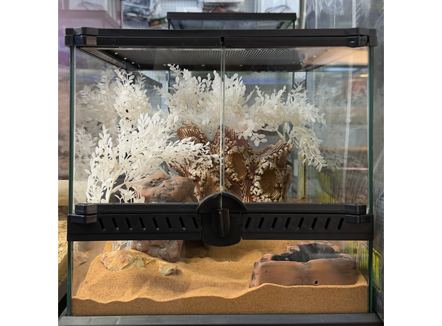 Террариумный комплект "Белый сад"