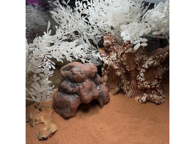 Террариумный комплект "Белый сад"