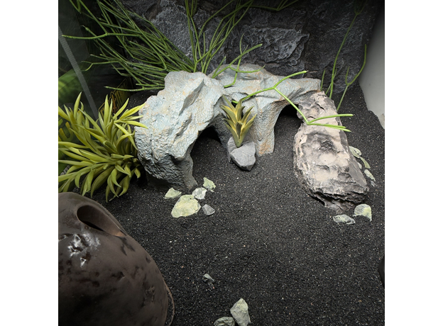 Террариумный комплект "Копи Мории"