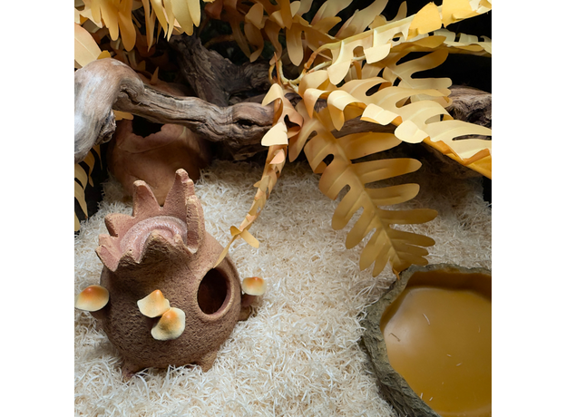 Террариумный комплект "Грибница"