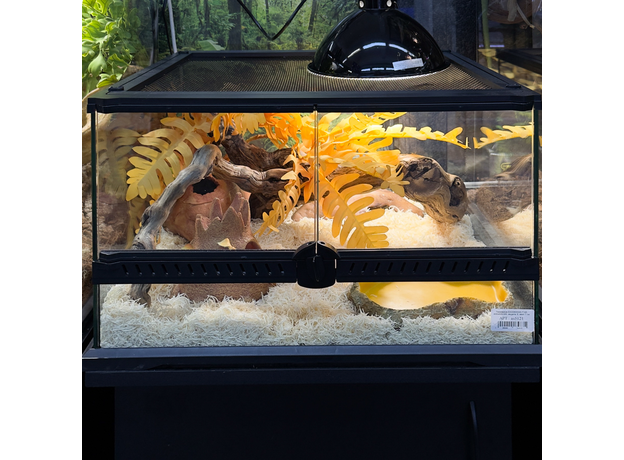 Террариумный комплект "Грибница"