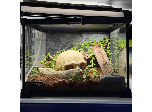 Террариумный комплект "Логово плута"