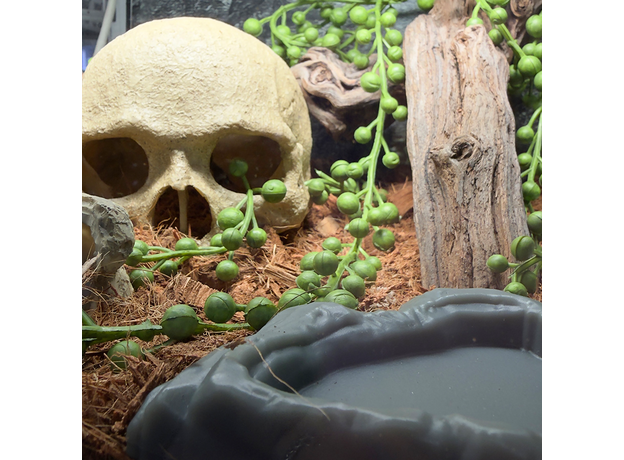 Террариумный комплект "Логово плута"