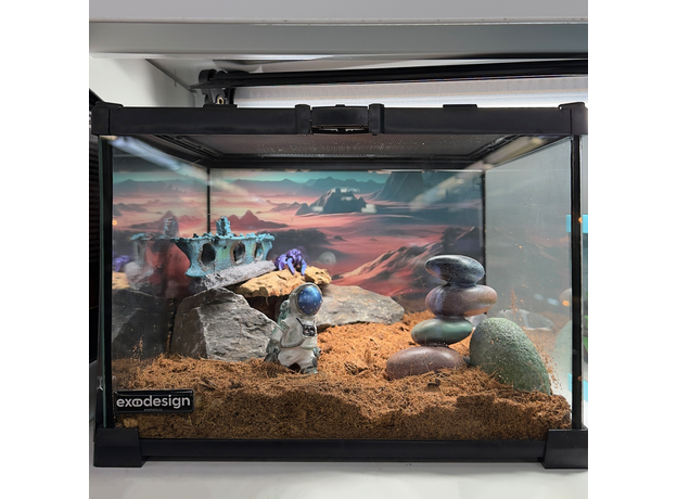 Террариумный комплект "Звёздный десант"