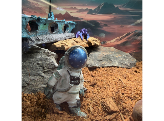 Террариумный комплект "Звёздный десант"