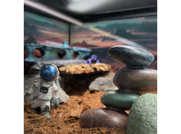 Террариумный комплект "Звёздный десант"