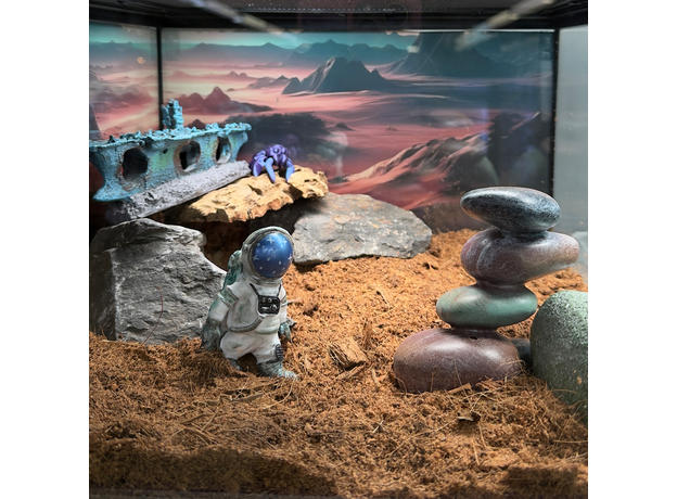 Террариумный комплект "Звёздный десант"