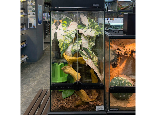 Террариумный комплект "Вариегата"