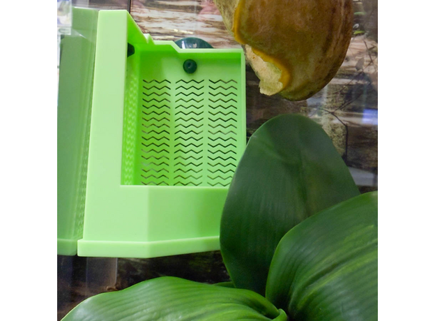 Террариумный комплект "Вариегата"