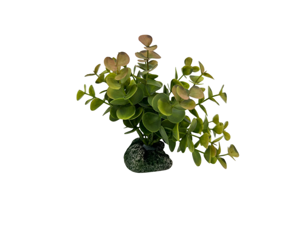 Искусственное растение на подставке Фитодизайн (ос-4), 12х17 см