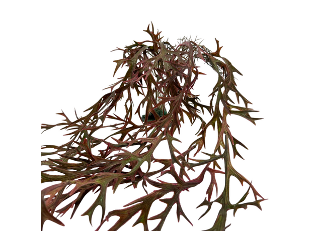 Искусственное растение на подставке Фитодизайн (ос-05), 88х28 см