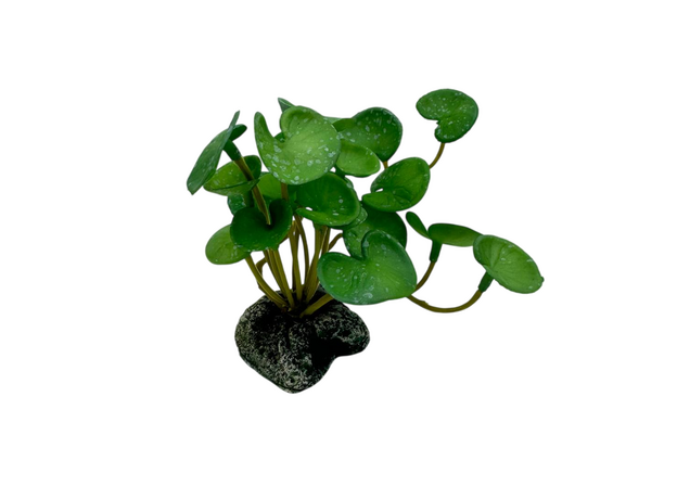 Искусственное растение на подставке Фитодизайн (ос-4), 11х13 см