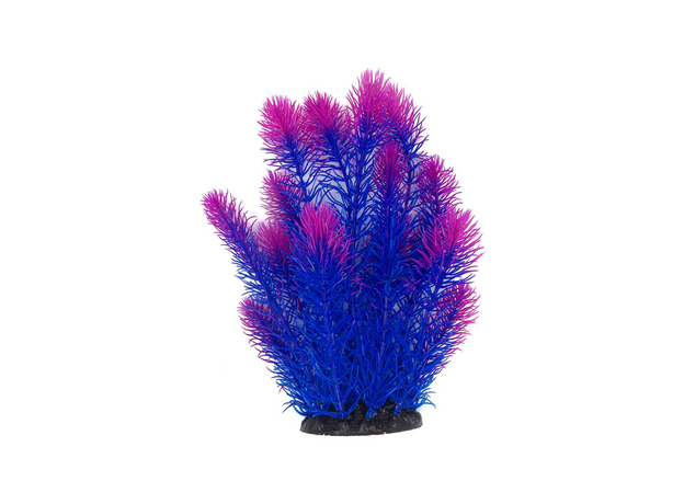 Растение пластиковое Aquanimal Погостемон пурпурный, 10x8x25 см