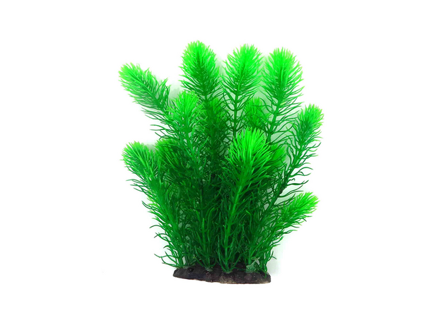 Растение пластиковое Aquanimal Погостемон зеленый, 10x8x25 см