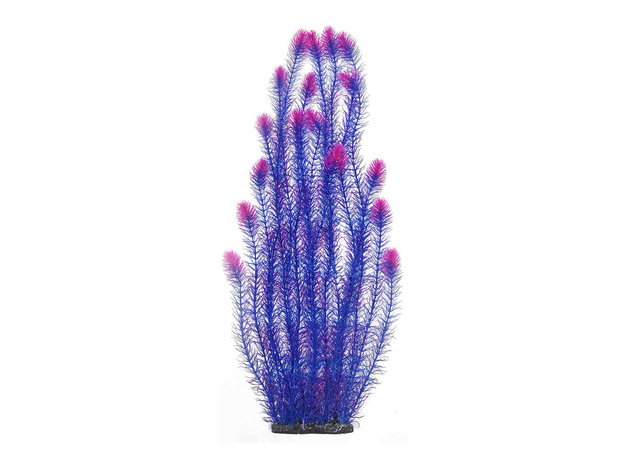 Растение пластиковое Aquanimal Элодея пурпурная, 18x10x50 см