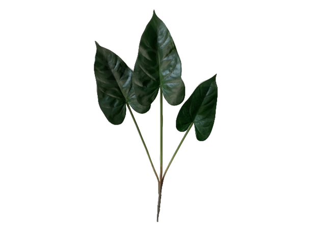 Папоротник заостренный искусственный