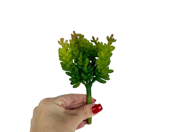 Декор седум микс