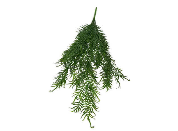 Папоротник ампельный, 70 см