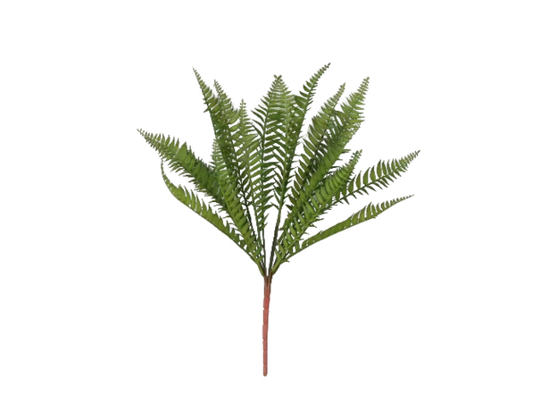 Папоротник орляк искусственный