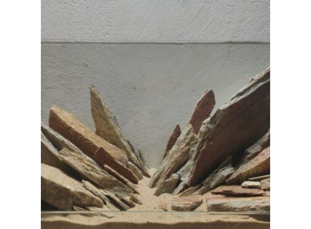 DECOTOP Coyote Box M - Натуральны камень "Окаменелое дерево" 5-30 см для аквариумов и террариумов, 12 кг/9 л