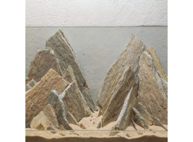 DECOTOP Coyote Box S - Натуральны камень "Окаменелое дерево" 5-20 см для аквариумов и террариумов, 5 кг/4 л