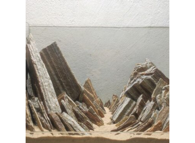 DECOTOP Coyote Box S - Натуральны камень "Окаменелое дерево" 5-20 см для аквариумов и террариумов, 5 кг/4 л